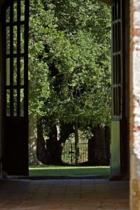 Abbaye Escaladieu, parcs et jardins