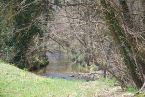 L’eau, au cœur d’une abbaye